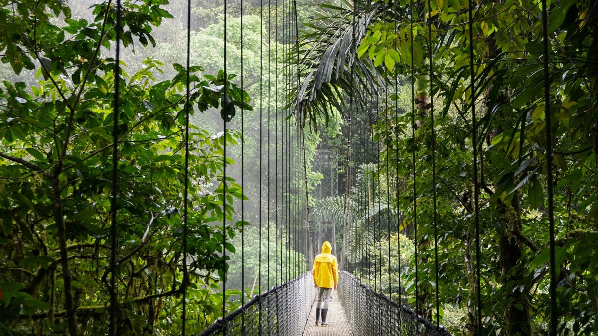 13 Best Airbnbs in La Fortuna, Costa Rica Best places to stay