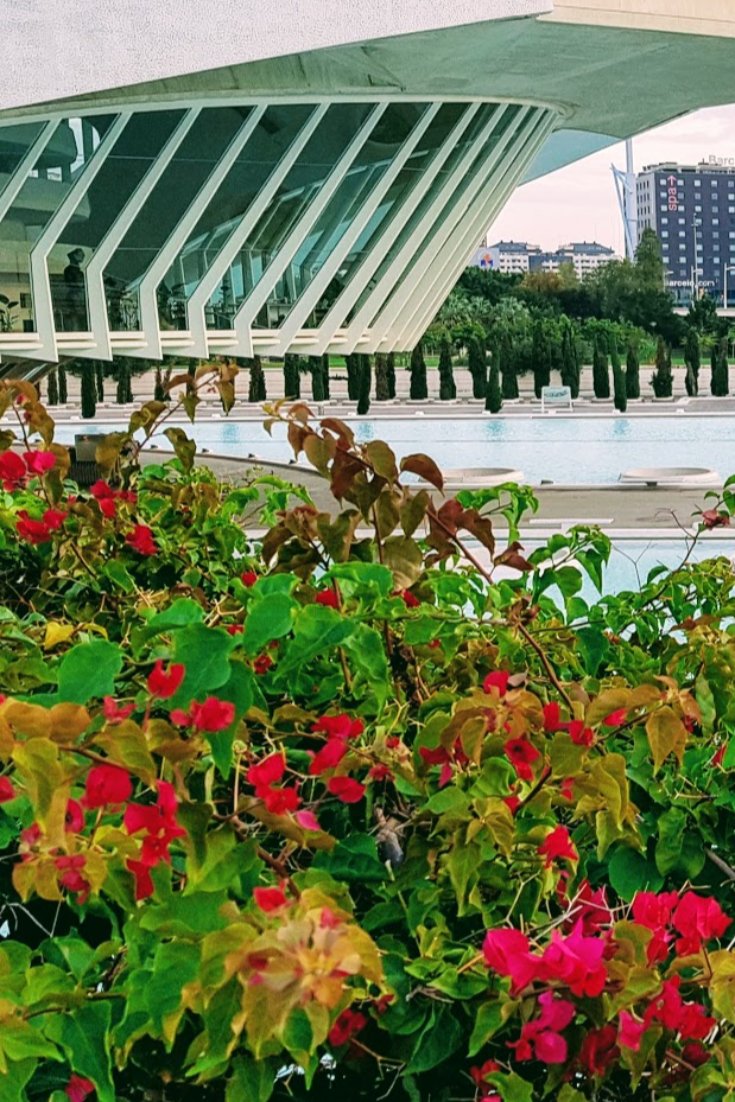 Battle of Flowers in Valencia 2020