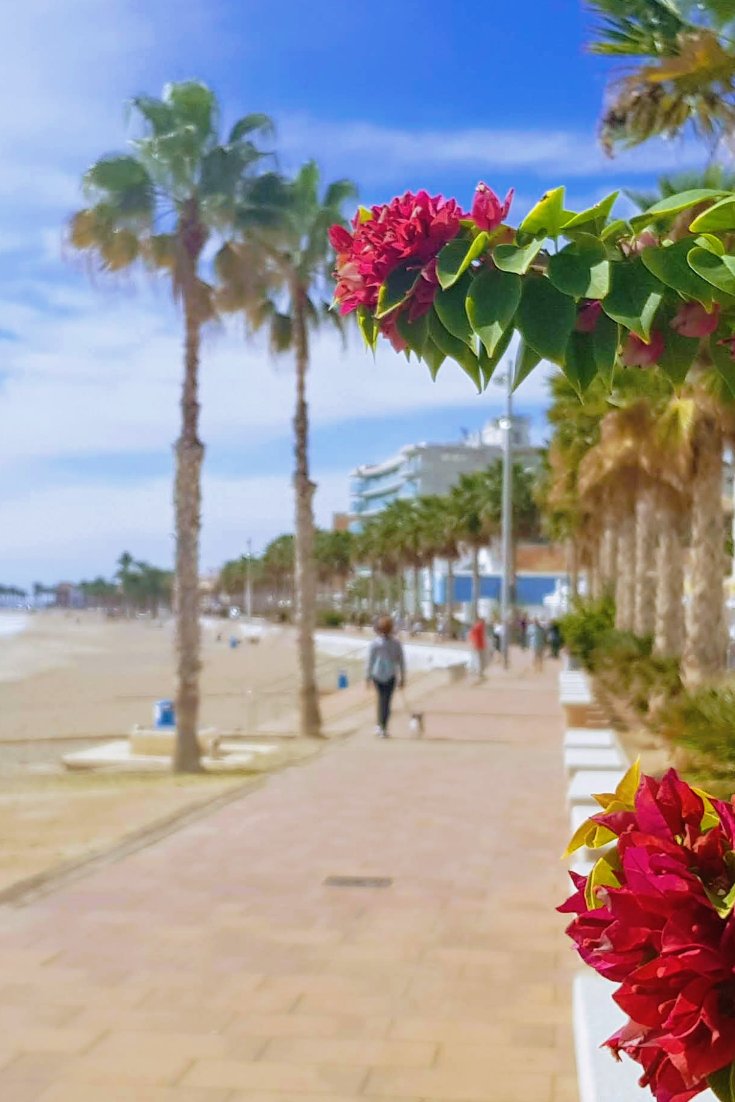 11 Best Things To Do in Villajoyosa - Visit Costa Blanca