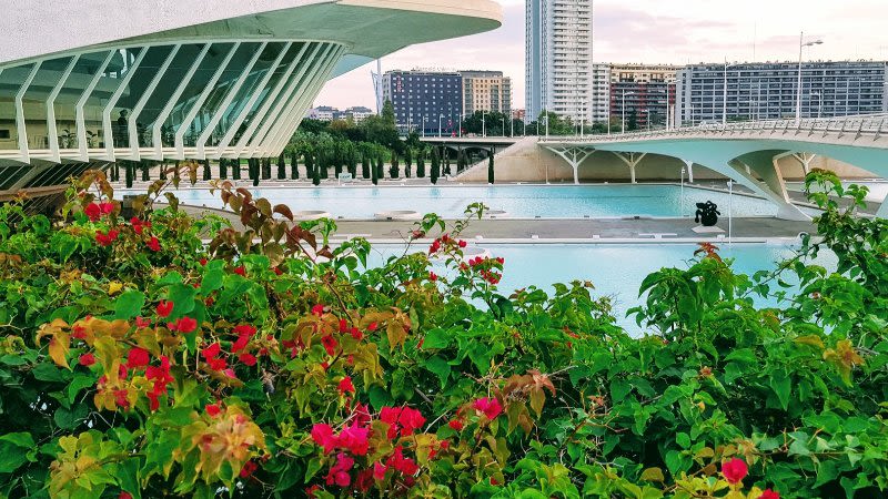 Battle of Flowers in Valencia 2020