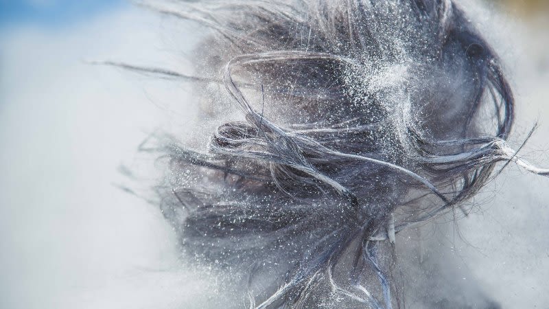 Flour Fight Festival (Els Enfarinats) 2019 - Valencia, Spain